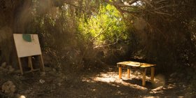 Piccoli Passi: l’educazione all’aperto in una riserva naturale della Sicilia – Io fa…