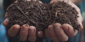 Il suolo è vita: ecco come rigeneralo e coltivare cibo sano e nutriente