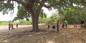 Rizomi: i cittadini si auto-organizzano per comprare un bosco e restituirlo alla comunità