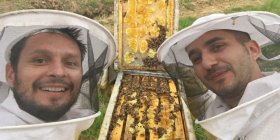 “Hanno avvelenato le nostre api, aiutateci”. L’appello degli apicoltori Idlir e Nert…